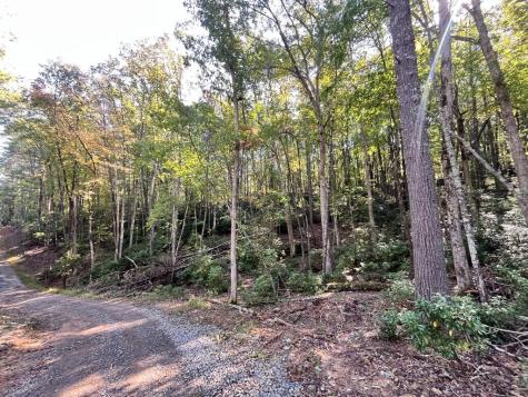 Tr 1 Turniptown Road Ellijay GA 30536
