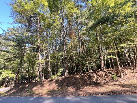 Tr 1 Turniptown Road Ellijay GA 30536