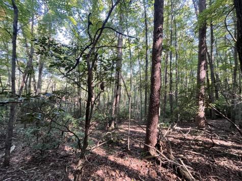 Tr 1 Turniptown Road Ellijay GA 30536