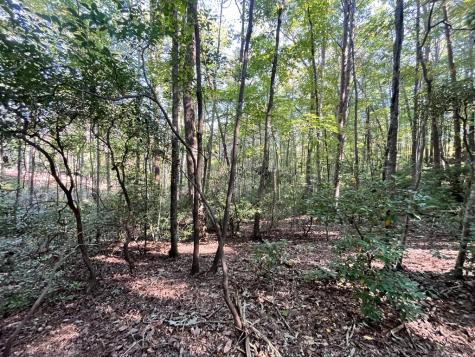 Tr 1 Turniptown Road Ellijay GA 30536