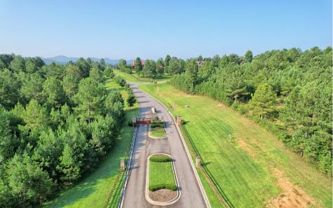 Lot 87 Northshore Blairsville GA 30512