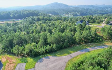 Lot 87 Northshore Blairsville GA 30512
