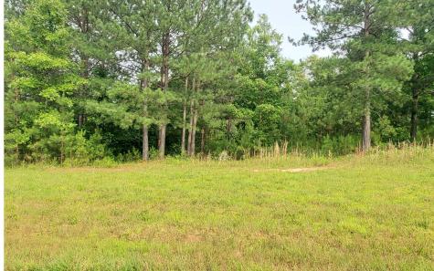 Lot 87 Northshore Blairsville GA 30512