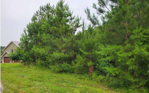 Lot 87 Northshore Blairsville GA 30512