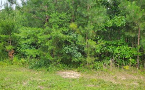 Lot 87 Northshore Blairsville GA 30512