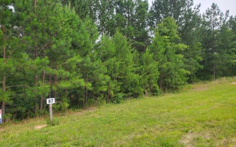 Lot 87 Northshore Blairsville GA 30512