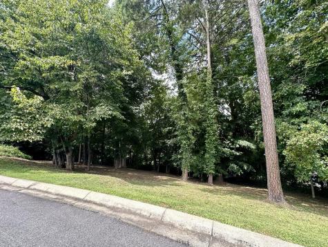 Lot 11 Bent Grass Circle Hayesville NC 28904