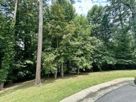 Lot 11 Bent Grass Circle Hayesville NC 28904