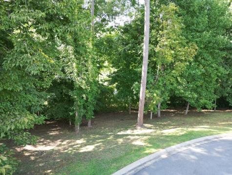 Lot 11 Bent Grass Circle Hayesville NC 28904