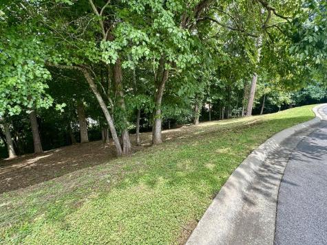 Lot 11 Bent Grass Circle Hayesville NC 28904