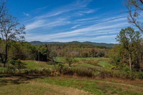 7590-B Mobile Road Blue Ridge GA 30513