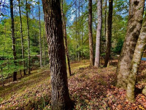 574 Satsuma Court S Ellijay GA 30540