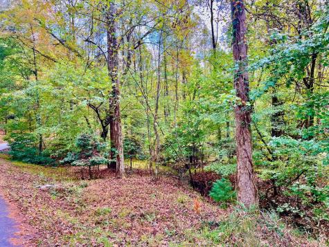 574 Satsuma Court S Ellijay GA 30540