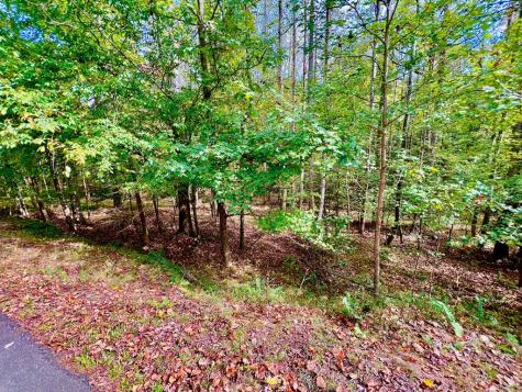 574 Satsuma Court S Ellijay GA 30540