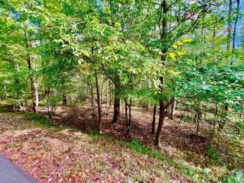 574 Satsuma Court S Ellijay GA 30540