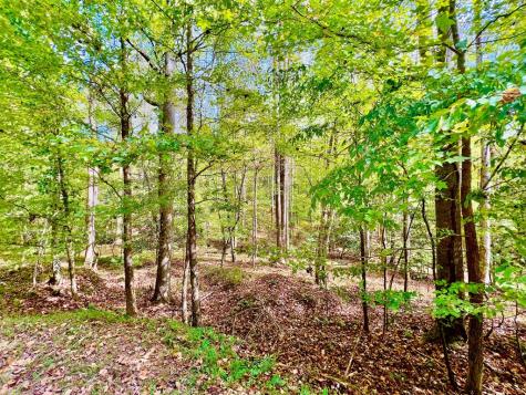 574 Satsuma Court S Ellijay GA 30540