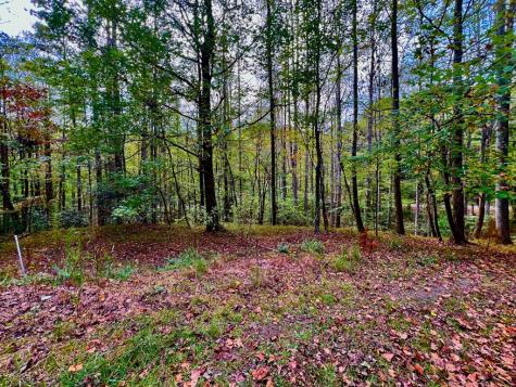 574 Satsuma Court S Ellijay GA 30540