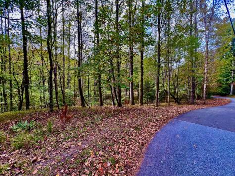 574 Satsuma Court S Ellijay GA 30540