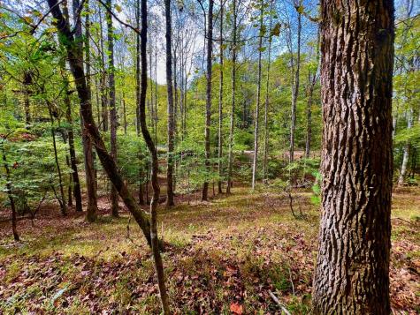 574 Satsuma Court S Ellijay GA 30540