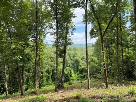 Lot 25 Bryson Creek Murphy NC 28906