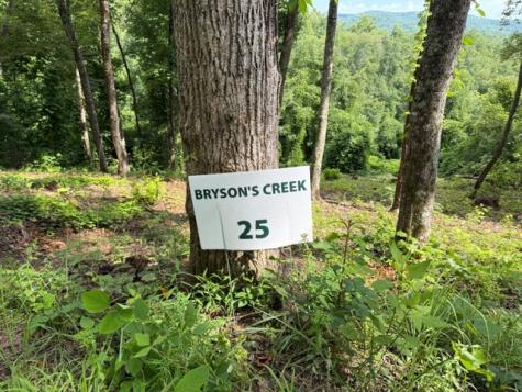 Lot 25 Bryson Creek Murphy NC 28906