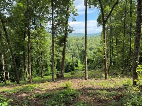 Lot 25 Bryson Creek Murphy NC 28906