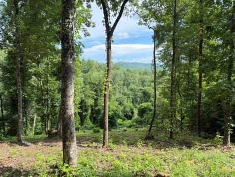 Lot 25 Bryson Creek Murphy NC 28906