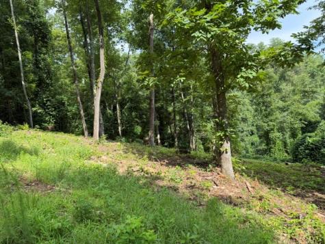 Lot 25 Bryson Creek Murphy NC 28906