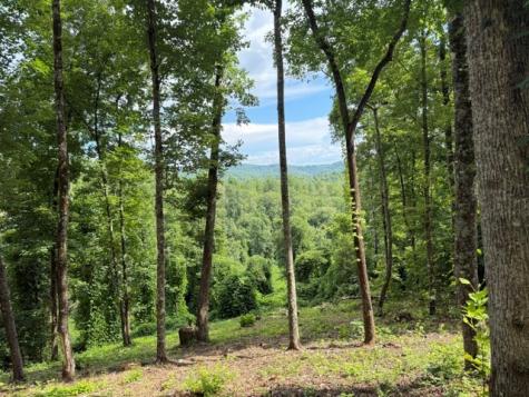 Lot 25 Bryson Creek Murphy NC 28906