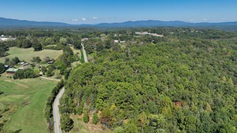 Lot 1&2 Timberlake Estates Blue Ridge GA 30513