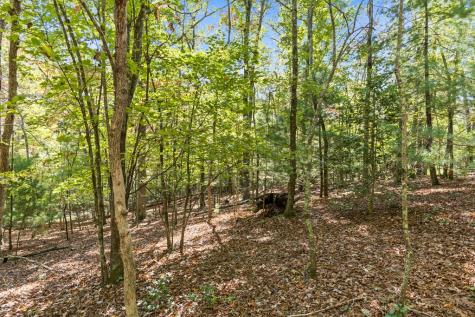 Lot 1&2 Timberlake Estates Blue Ridge GA 30513