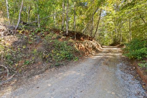 Lot 1&2 Timberlake Estates Blue Ridge GA 30513