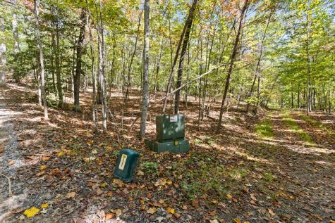 Lot 1&2 Timberlake Estates Blue Ridge GA 30513