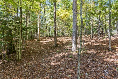 Lot 1&2 Timberlake Estates Blue Ridge GA 30513