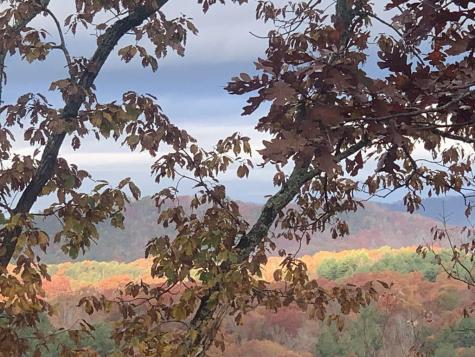 Lot 26 Grand Laurel Brasstown NC 28902