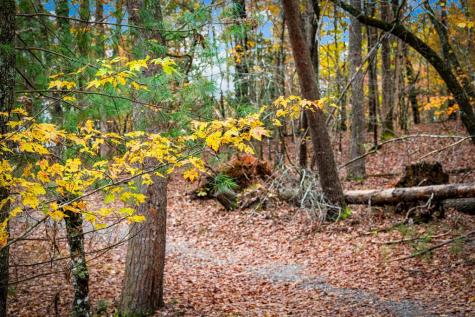 1580 Galloway Road Blue Ridge GA 30513