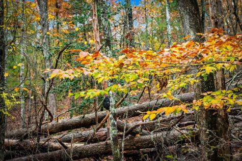 1580 Galloway Road Blue Ridge GA 30513