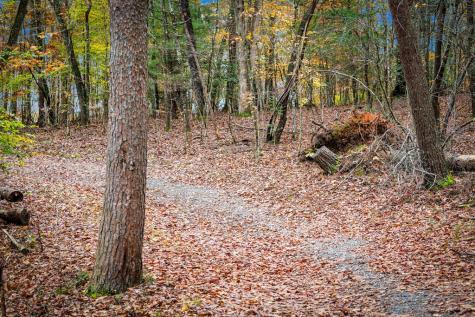 1580 Galloway Road Blue Ridge GA 30513