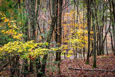 1580 Galloway Road Blue Ridge GA 30513