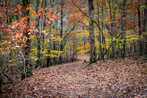 1580 Galloway Road Blue Ridge GA 30513