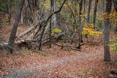 1580 Galloway Road Blue Ridge GA 30513