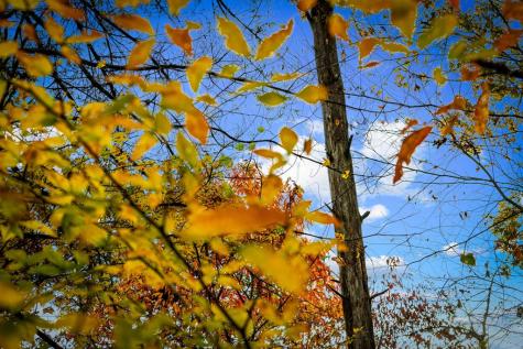 1580 Galloway Road Blue Ridge GA 30513