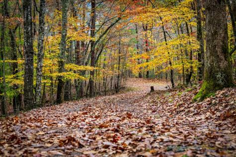 1580 Galloway Road Blue Ridge GA 30513