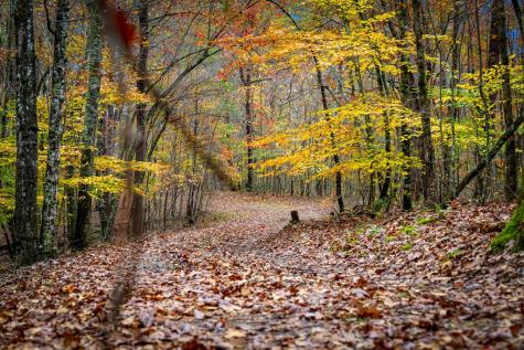 1580 Galloway Road Blue Ridge GA 30513