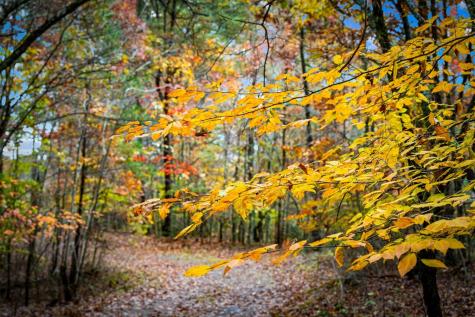 1580 Galloway Road Blue Ridge GA 30513