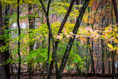 1580 Galloway Road Blue Ridge GA 30513