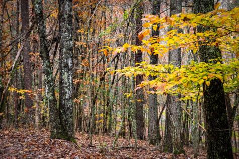 1580 Galloway Road Blue Ridge GA 30513