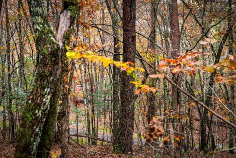 1580 Galloway Road Blue Ridge GA 30513