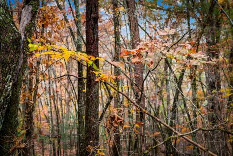 1580 Galloway Road Blue Ridge GA 30513