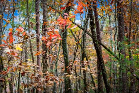 1580 Galloway Road Blue Ridge GA 30513